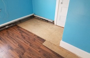 Wood floors of all types...
